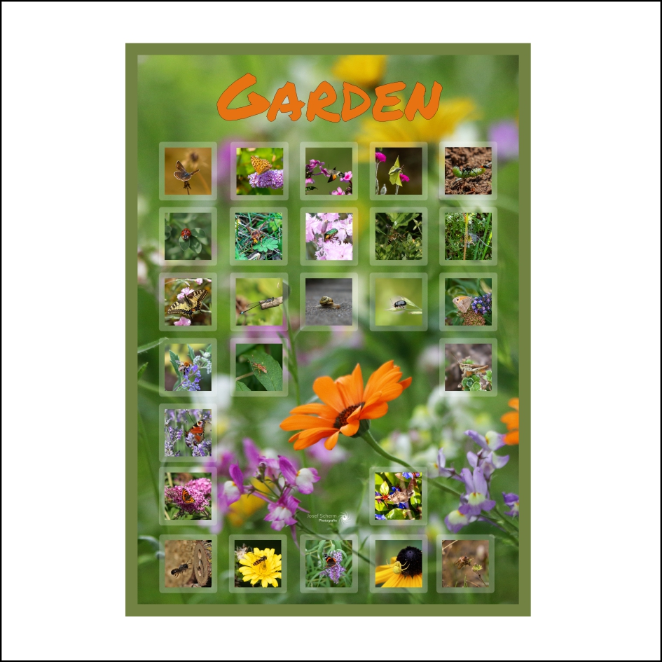 Poster "Garden"
